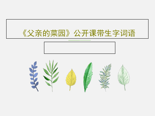 《父亲的菜园》公开课带生字词语28页PPT