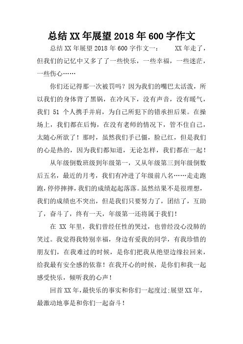 总结XX年展望2018年600字作文