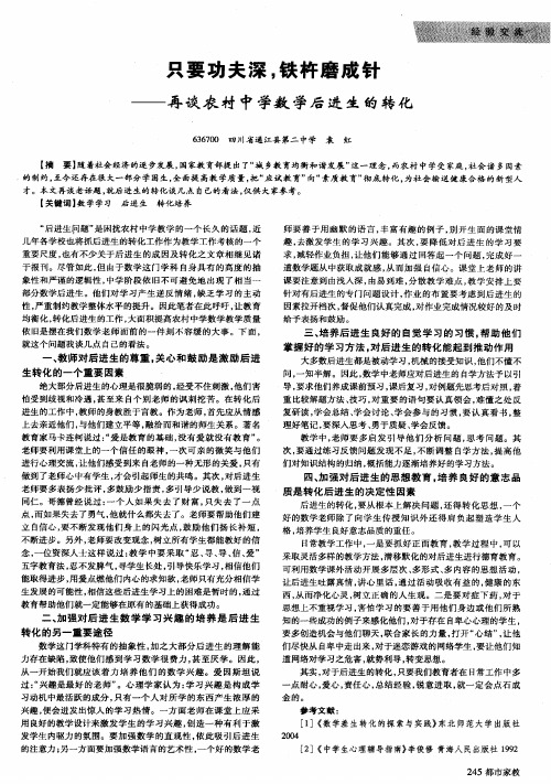 只要功夫深,铁杵磨成针——再谈农村中学数学后进生的转化