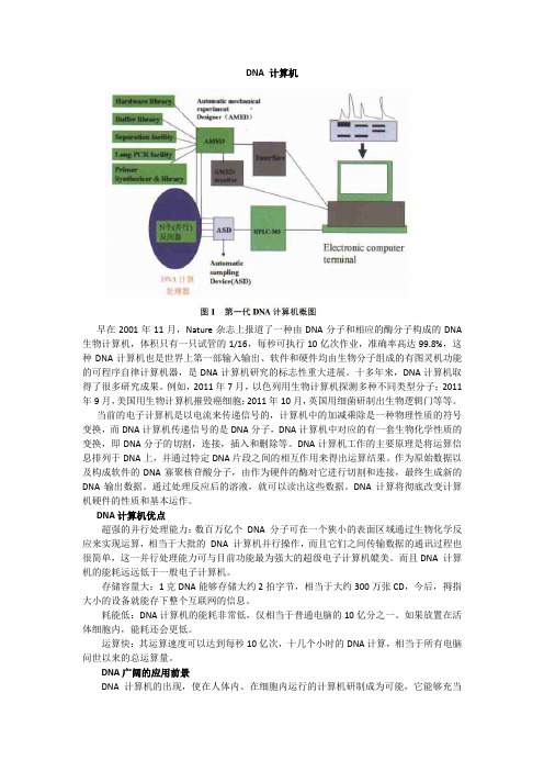 DNA计算机