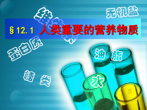 课题1  人类重要的营养物质(新人教版2013)