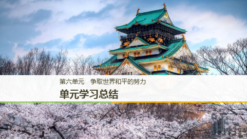 2019-2020版历史选修三岳麓通用版课件：第六单元 争取世界和平的努力 单元学习总结 