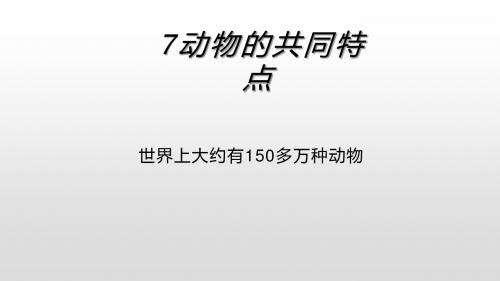 教科版三年级科学上册《7动物的共同特点》