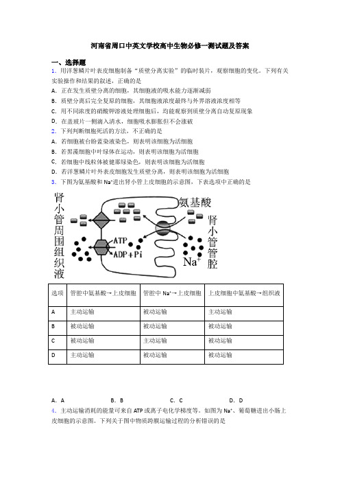 河南省周口中英文学校高中生物必修一测试题及答案