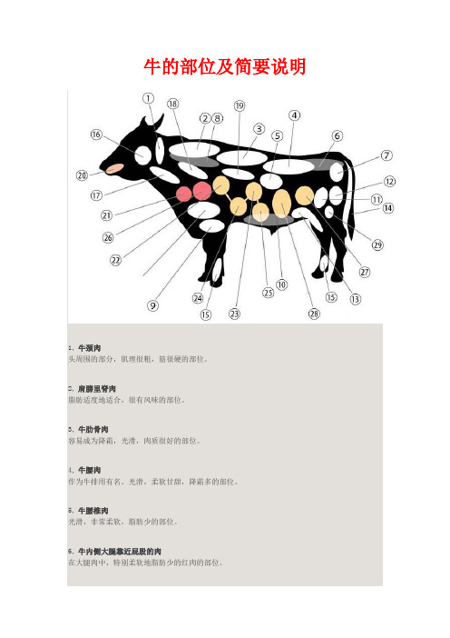 牛的部位及简要说明