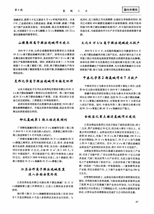金桥盐化重点推进氯碱项目建设