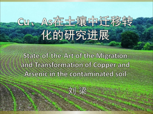 铜、砷在土壤中的迁移转化ppt课件