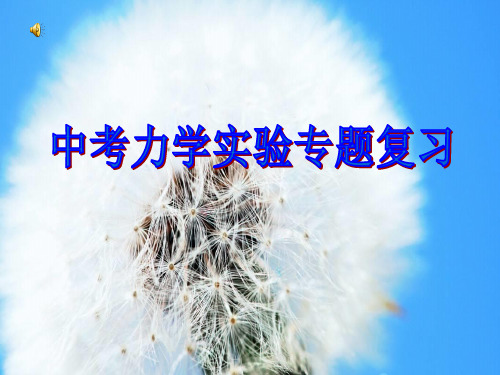 力学实验专题复习中小学PPT教学课件