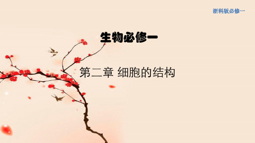 【新教材】2.1 细胞是生命的单位 课件(1)-浙科版高中生物必修1分子与细胞(共17张PPT)