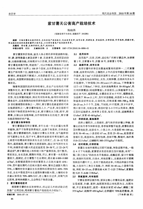 紫甘薯无公害高产栽培技术