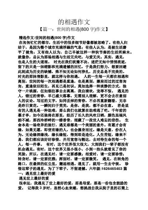 作文范文之的相遇作文