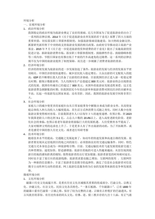 环境分析