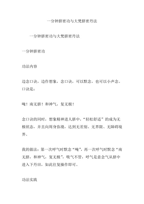 一分钟脐密功与大梵脐密丹法