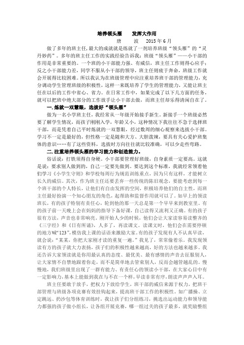 培养领头雁    发挥大作用