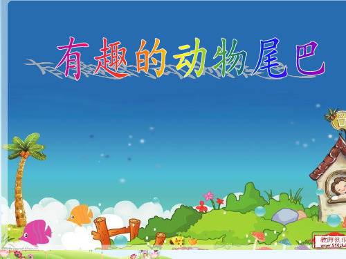 有趣的动物尾巴PPT课件