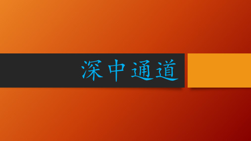 深中通道(新)