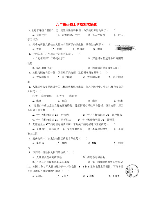 福建省泉州第三中学2013-2014学年八年级上学期生物期末试题 (word版含答案)