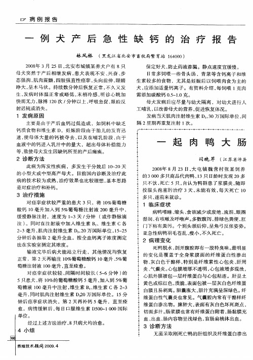 一例犬产后急性缺钙的治疗报告