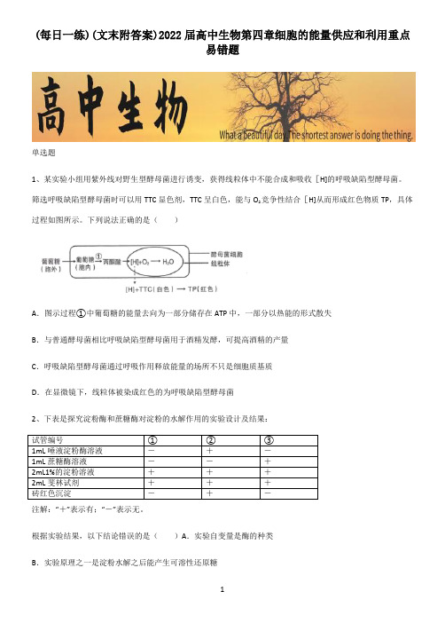 (文末附答案)2022届高中生物第四章细胞的能量供应和利用重点易错题