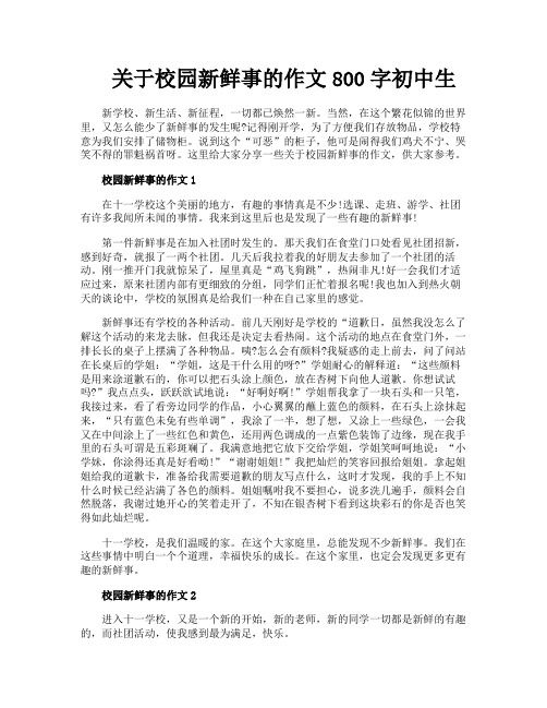 关于校园新鲜事的作文800字初中生