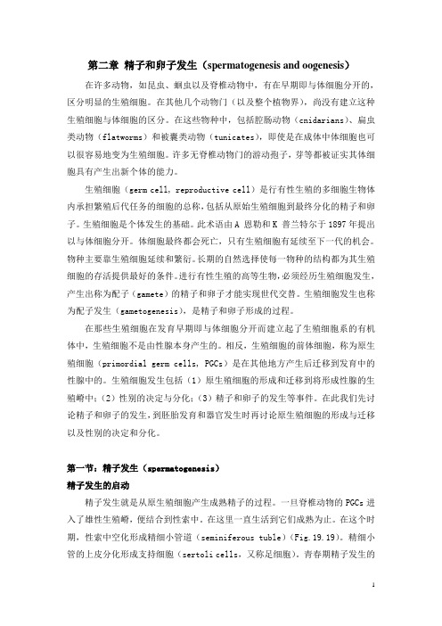 发育2：精卵发生