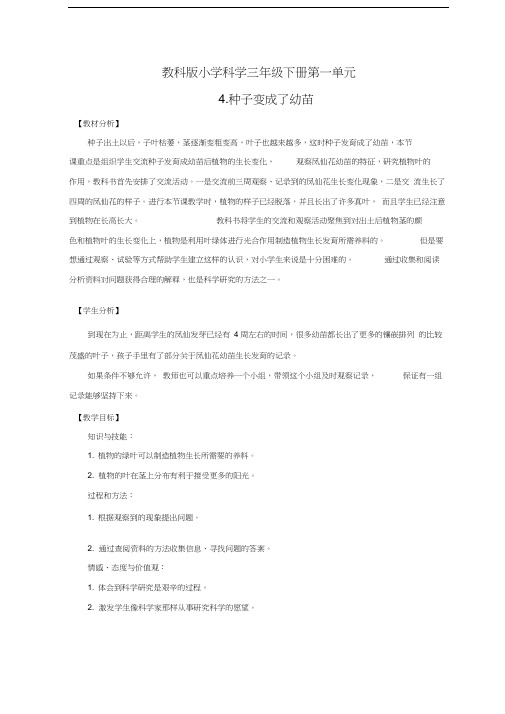 最新《种子变成了幼苗》教案