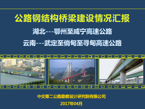 中交二公院-湖北省和云南省钢结构桥梁设计情况汇报