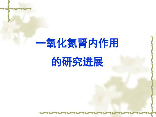 一氧化氮肾内作用