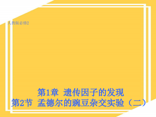 孟德尔的豌豆杂交实验二课件PPT