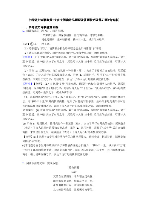 中考语文诗歌鉴赏+文言文阅读常见题型及答题技巧及练习题(含答案)