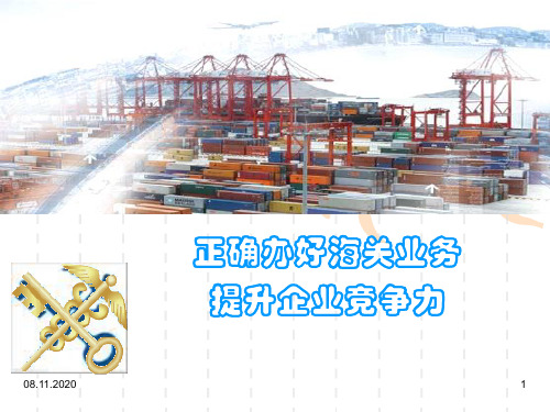 常见违规行为及其处罚PPT课件