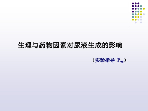 生理与药物因素对尿液生成的影响