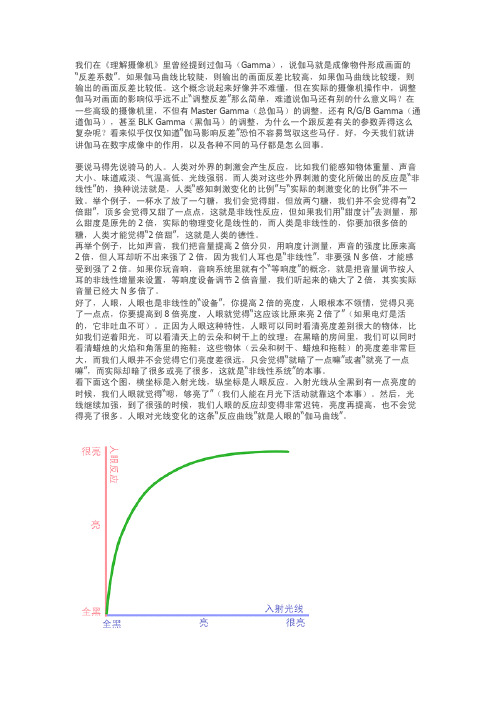 理解伽马(Gamma)