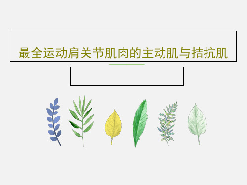 最全运动肩关节肌肉的主动肌与拮抗肌PPT共28页