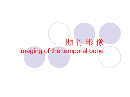 颞骨影像PPT课件