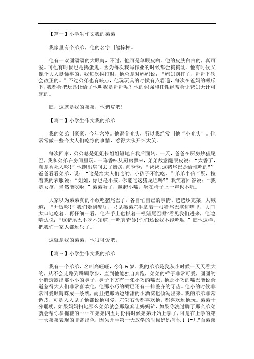 最新小学生作文我的弟弟四篇