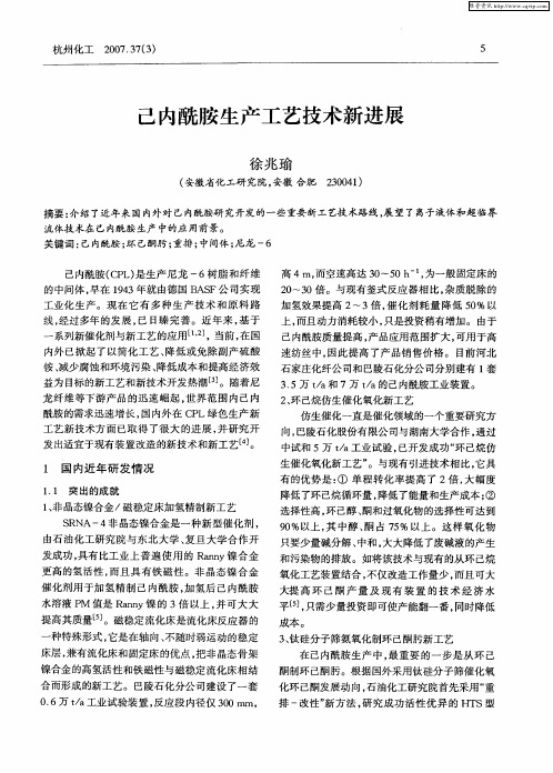 己内酰胺生产工艺技术新进展