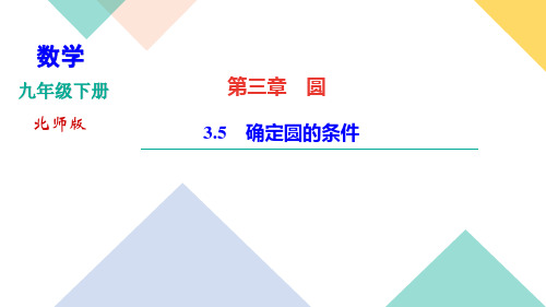 北师大版九年级下册数学习题课件3.5 确定圆的条件