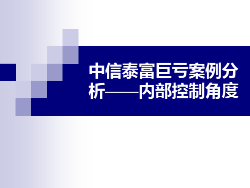 企业内部控制案例分析精品PPT课件