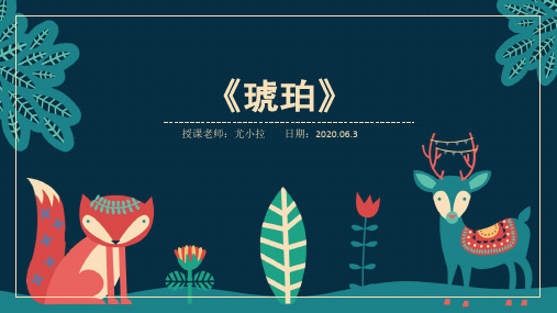 《琥珀》复习