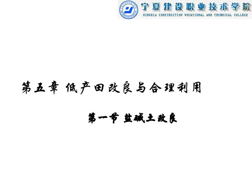 第五章第一节 盐碱地改良