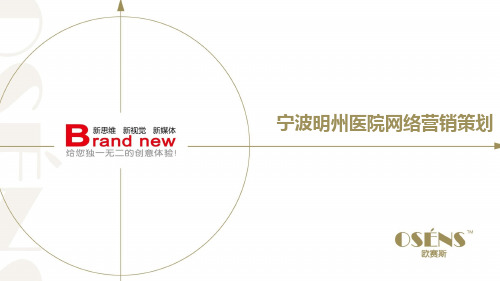 欧赛斯明州医院网络整合营销方案1227