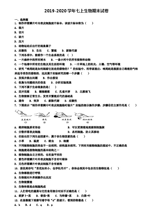 【4份试卷合集】黑龙江省大兴安岭地区2019-2020学年生物七上期末统考模拟试题