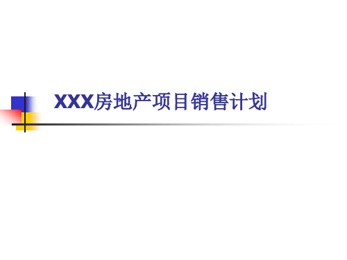 房地产项目销售计划