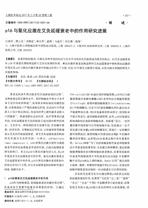 p16与氧化应激在艾灸延缓衰老中的作用研究进展