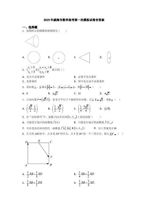 2019年威海市数学高考第一次模拟试卷含答案
