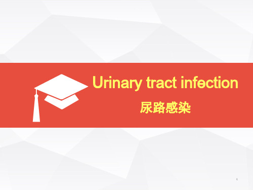 内科学英文课件：Urinary tract infection尿路感染