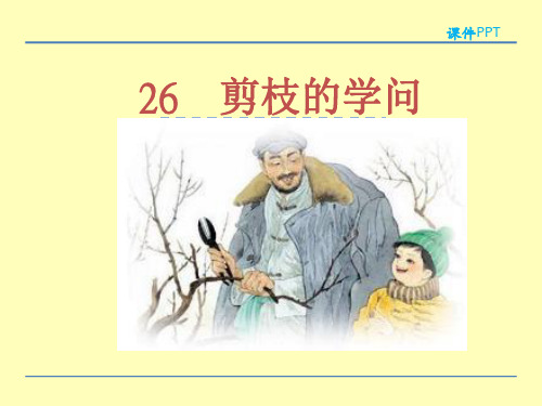 (赛课课件)苏教版三年级下册26剪枝的学问课件