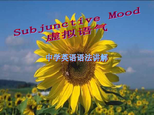初中英语语法-虚拟语气PPT课件
