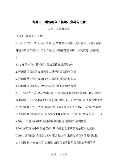 高考生物学二轮总复习课后习题 专题5 遗传的分子基础、变异与进化 (6)